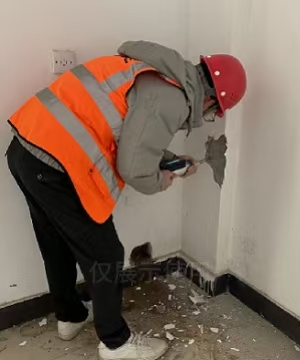 柱混凝土强度检测